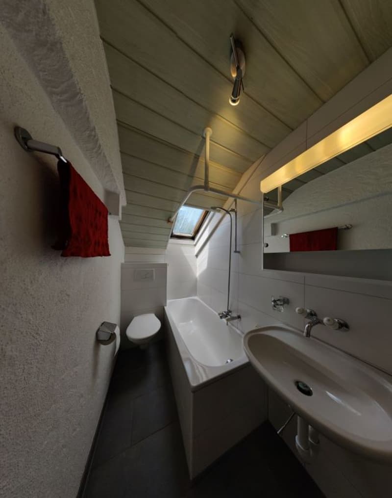 Charmante 2-Zimmer-Dachwohnung mit besonderem Flair (3)