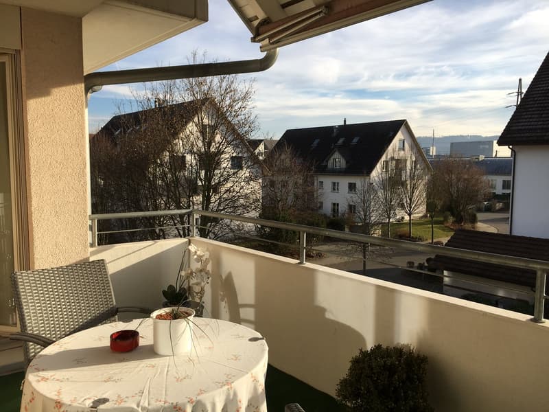 Appartamento arredato di 2,5 locali - balcone, lavanderia privata, ascensore - a Buchs Zürich (14)