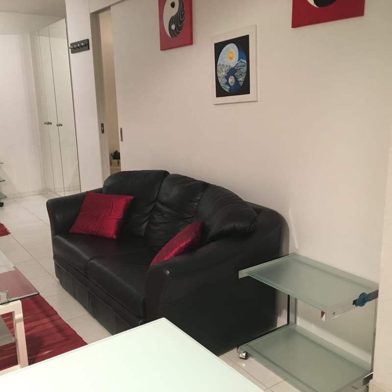 Appartamento arredato di 2,5 locali - balcone, lavanderia privata, ascensore - a Buchs Zürich (13)