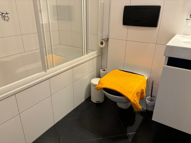 Appartamento 2.5 locali - arredato - con balcone a Buchs Zürich (20)