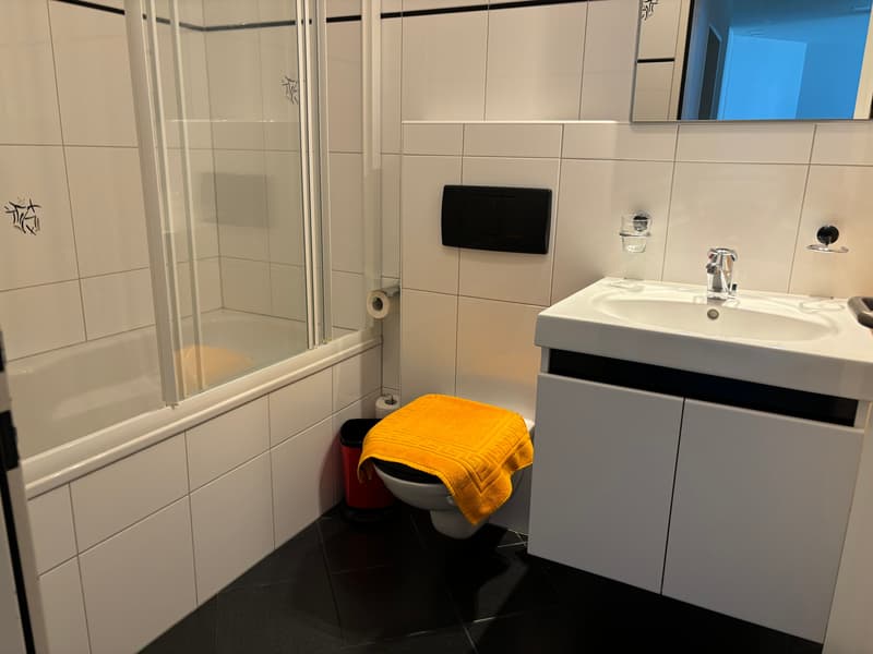 Appartamento 2.5 locali - arredato - con balcone a Buchs Zürich (17)