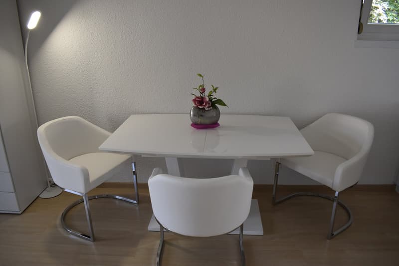 Möblierte 1.5-Zimmer-Wohnung mit Balkon in Dällikon Zürich (1)