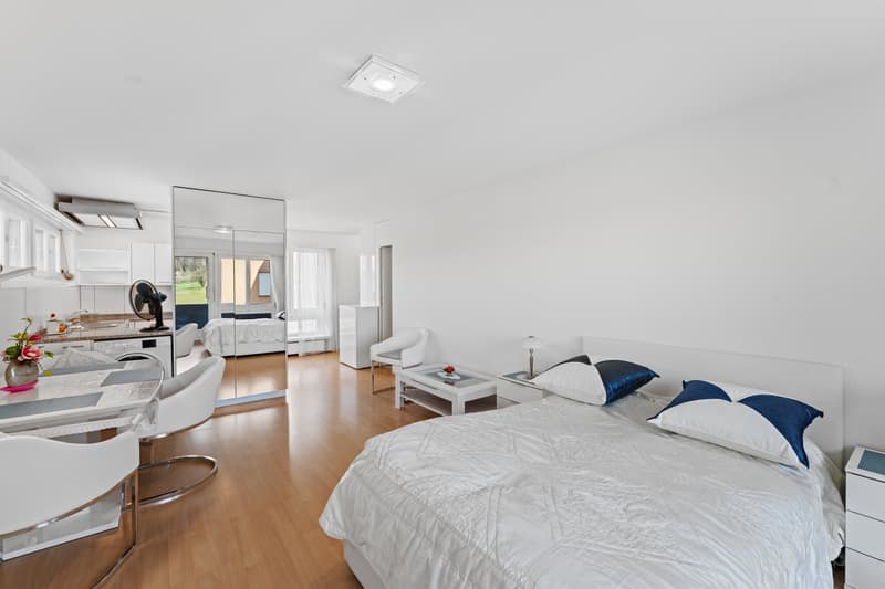 Möblierte 1.5-Zimmer-Wohnung mit Balkon in Dällikon Zürich (2)