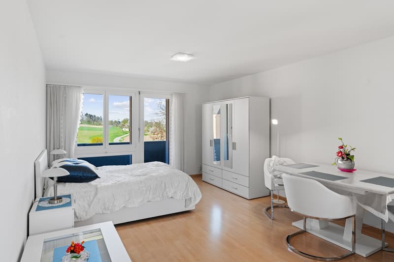 Möblierte 1.5-Zimmer-Wohnung mit Balkon in Dällikon Zürich (3)