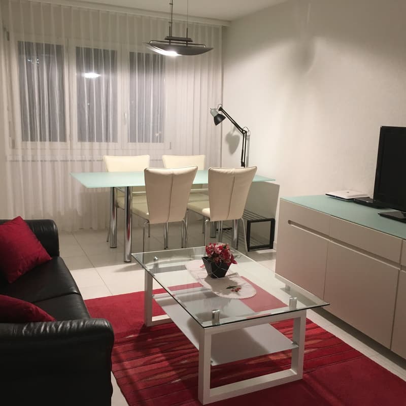 2.5-Zimmer-Wohnung - möbliert - mit Balkon in Buchs Zürich (2)