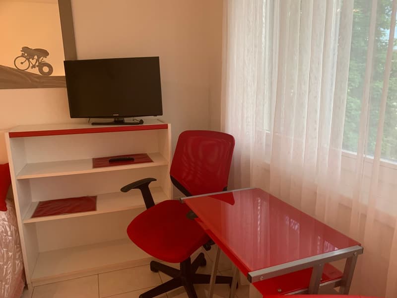 2.5-Zimmer-Wohnung - möbliert - mit Balkon in Buchs Zürich (14)