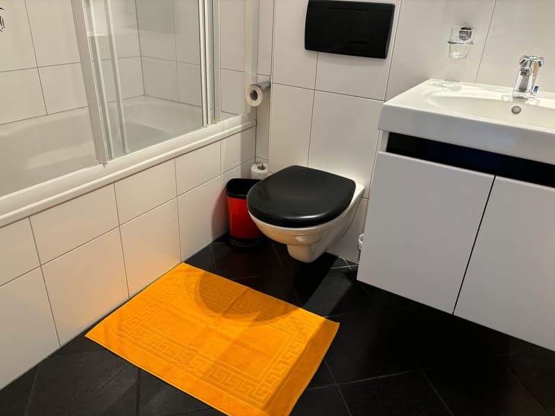 2.5-Zimmer-Wohnung - möbliert - mit Balkon in Buchs Zürich (18)