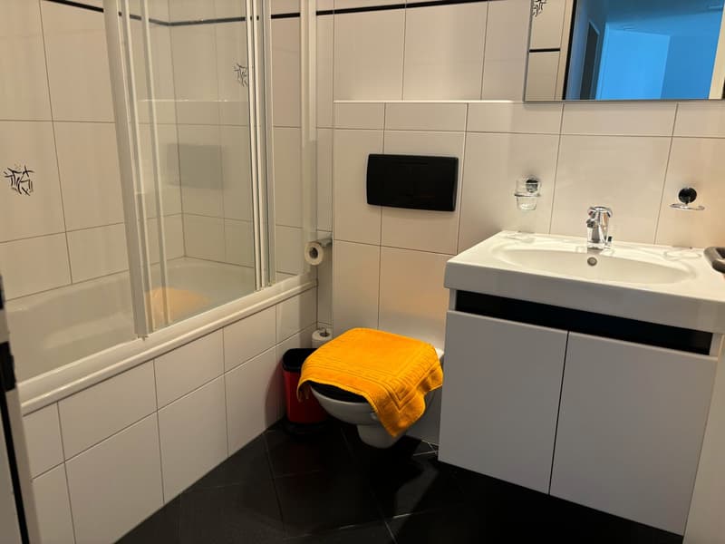 2.5-Zimmer-Wohnung - möbliert - mit Balkon in Buchs Zürich (17)