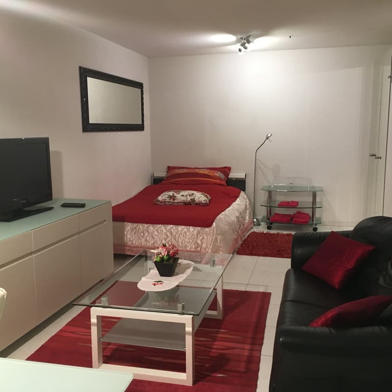 2.5-Zimmer-Wohnung - möbliert - mit Balkon in Buchs Zürich (1)
