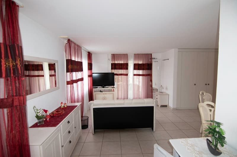 2,5-Zimmer-Wohnung möbliert – mit eigener Waschküche (10)
