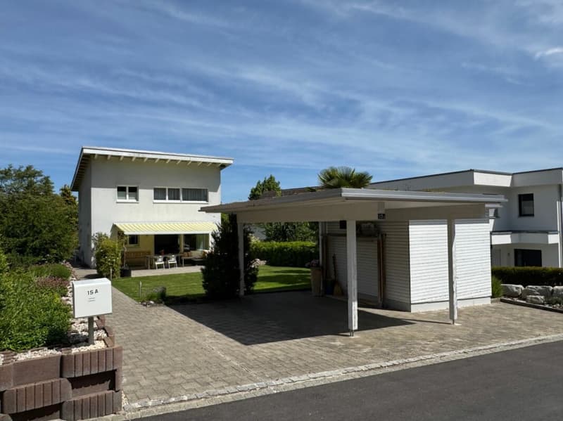 Detached single-family house in an elevated and quiet location (1)