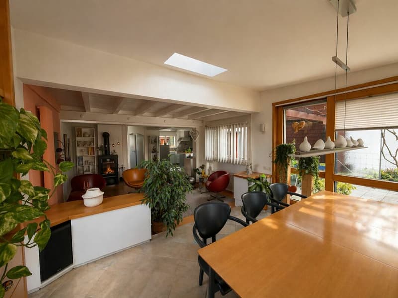 Family paradise in a quiet, sunny, and preferred residential area (7)