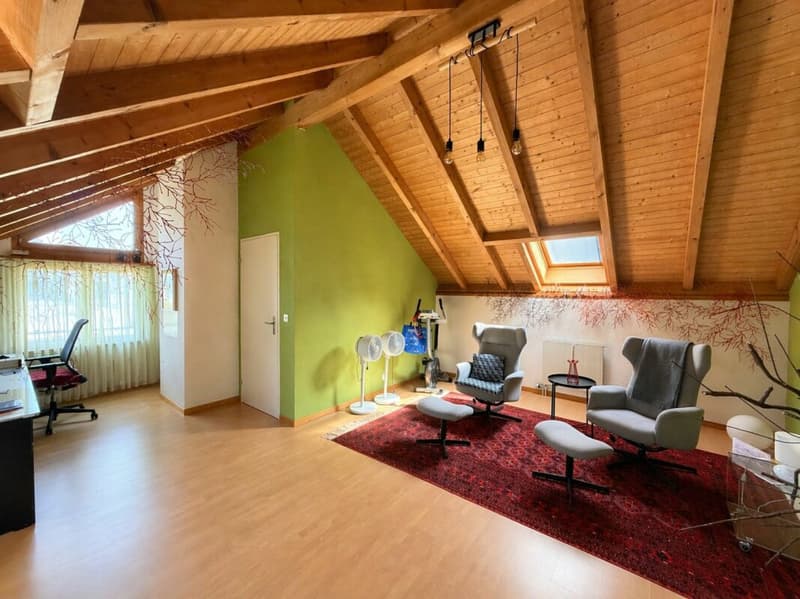 Family paradise in a quiet, sunny, and preferred residential area (10)