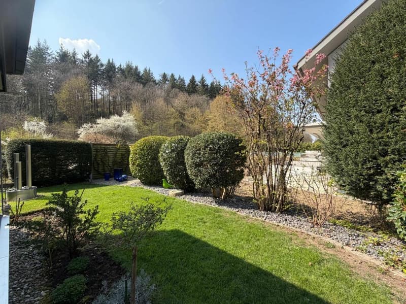 Family paradise in a quiet, sunny, and preferred residential area (2)
