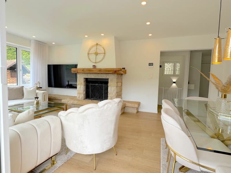 Renovated single-family home with fantastic panoramic views (3)