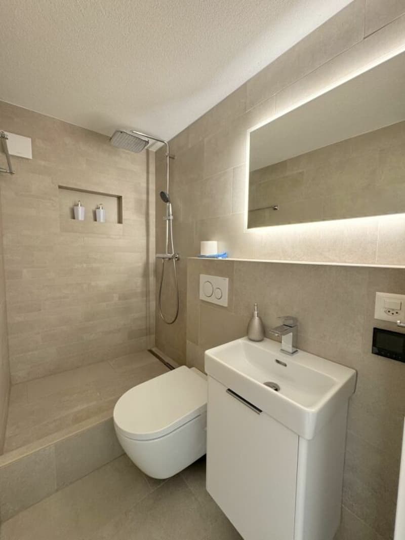 Renovated single-family home with fantastic panoramic views (10)