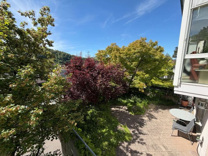 Gepflegte Doppelhaushälfte an leicht erhöhter, sonniger Lage mit unverbaubarer Aussicht (11)