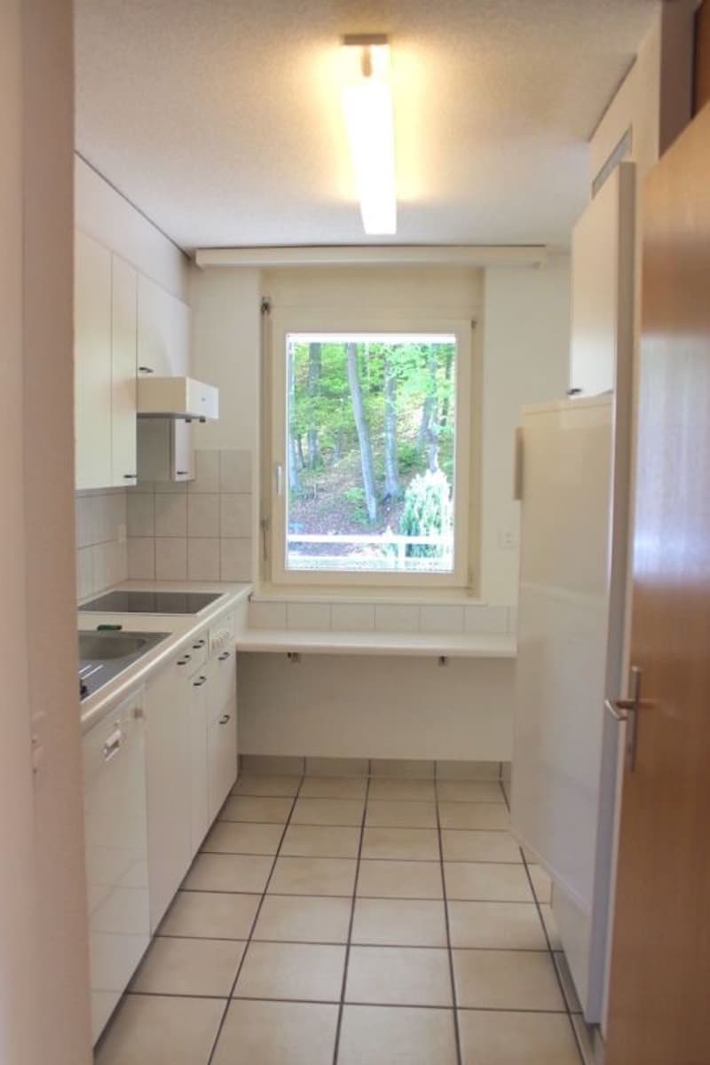 Appartement ensoleillé au bord de la forêt avec frais accessoires fixes (4)