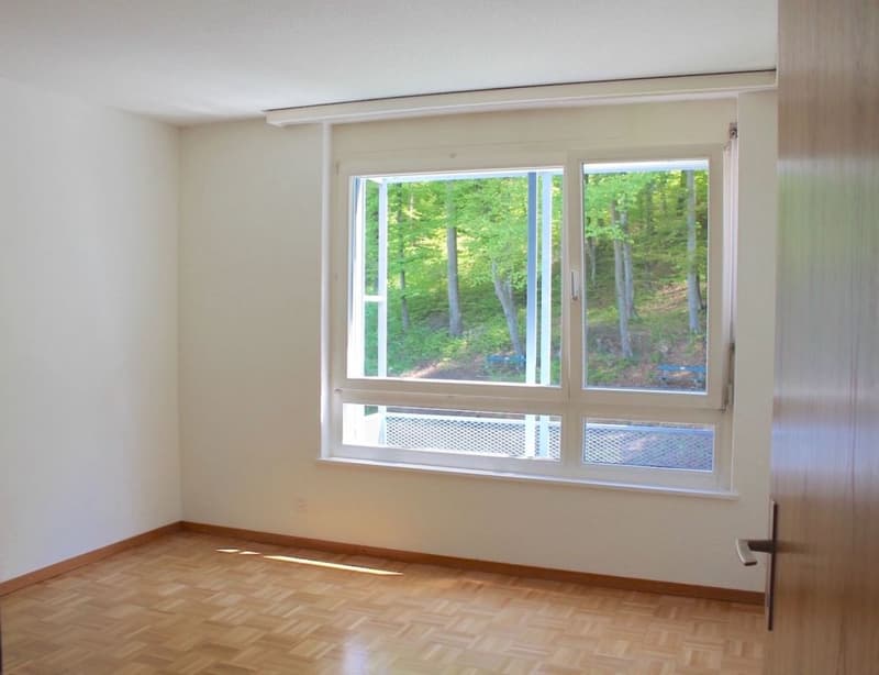 Appartement ensoleillé au bord de la forêt avec frais accessoires fixes (6)