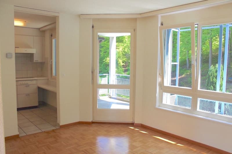 Appartement ensoleillé au bord de la forêt avec frais accessoires fixes (3)