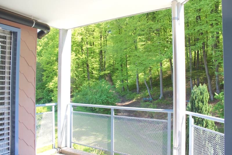 Appartement ensoleillé au bord de la forêt avec frais accessoires fixes (7)