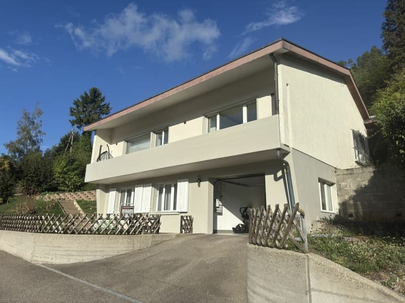 Kernsaniertes EFH mit fantastischer Weitsicht (1)