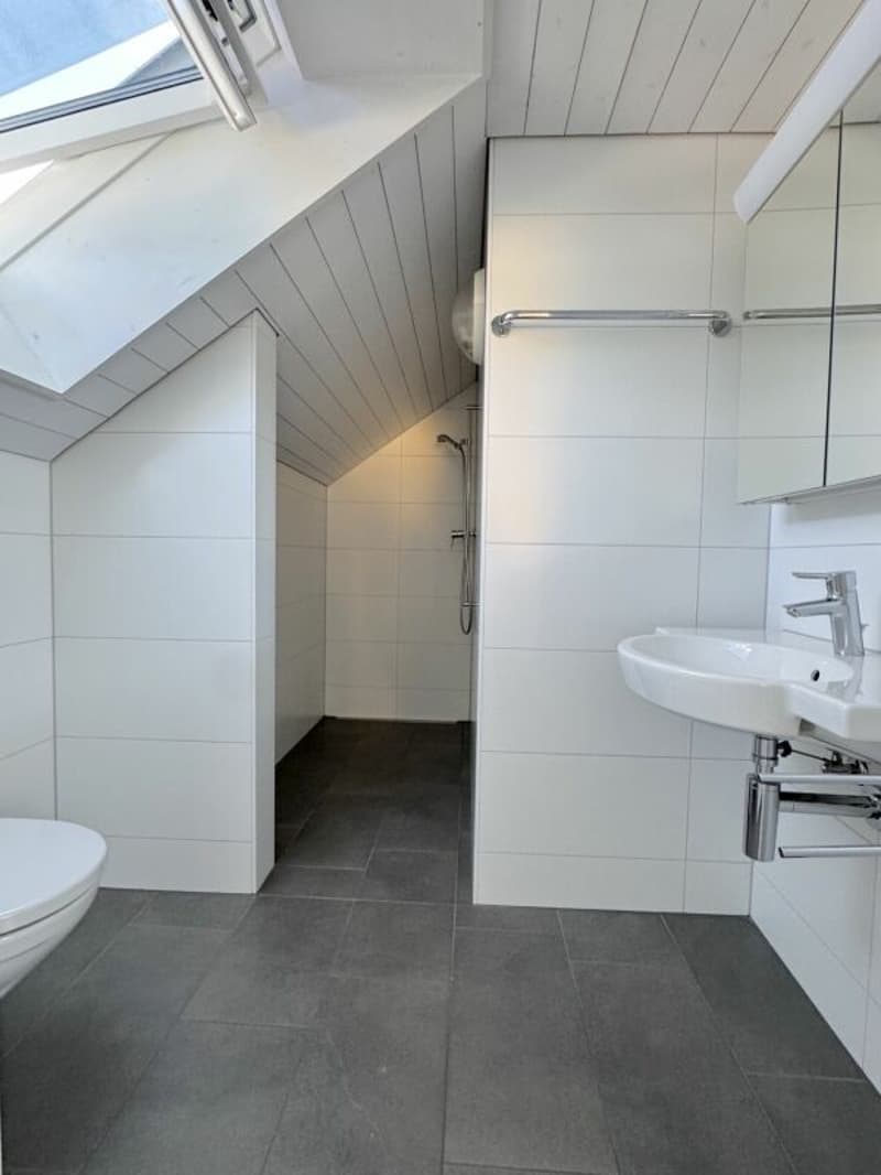 Charming and comfortable maisonette attic apartment with fantastic panoramic views (14)