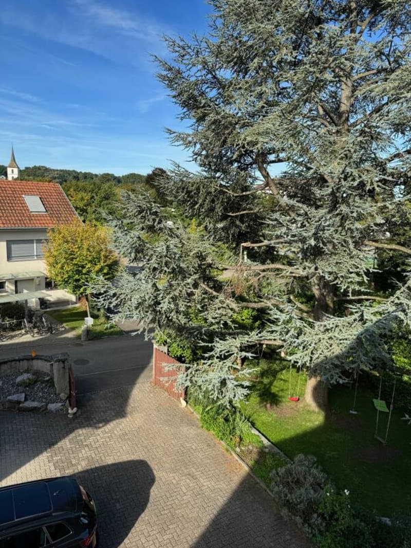 Leben + Arbeiten im Herrschaftshaus (17)