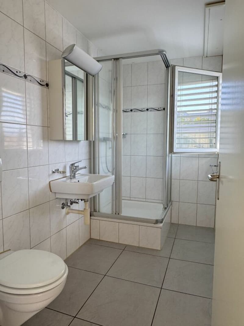 Appartement 4.5 pièces avec grand potentiel et vue lointaine garantie (8)