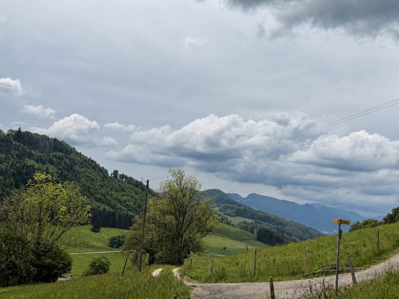 Einfaches Wochenendhäuschen  - KEIN FESTER WOHNSITZ MÖGLICH (3)