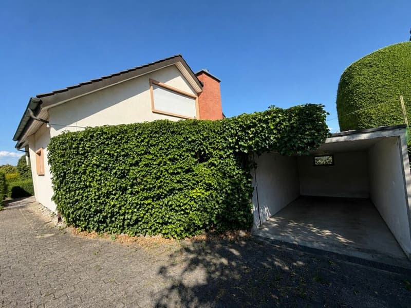 Freistehendes Einfamilienhaus mit Charme und Gartenparadies an attraktiver Wohnlage (3)