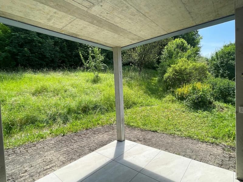 Sonnig, ruhig und mit grossem gedeckten Sitzplatz und Gartenanteil (11)