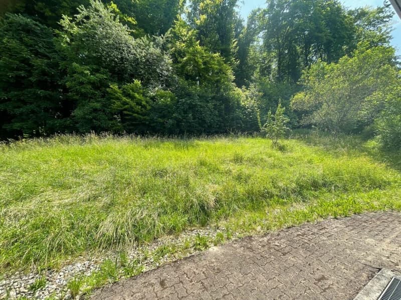 Sonnig, ruhig und mit grossem gedeckten Sitzplatz und Gartenanteil (12)