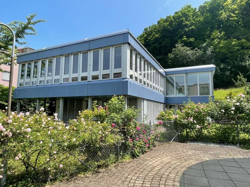 Sonnig, ruhig und mit grossem gedeckten Sitzplatz und Gartenanteil (9)