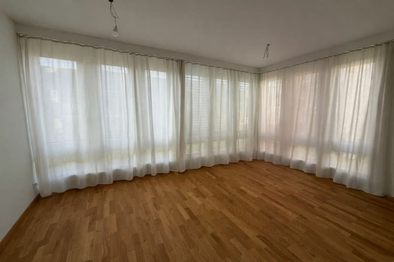Sonnig, ruhig und mit grossem gedeckten Sitzplatz und Gartenanteil (7)