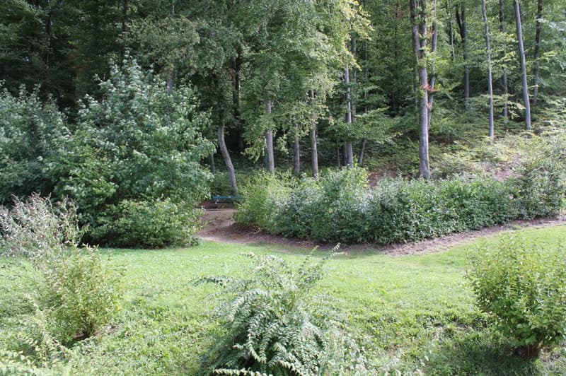 Ruhige Wohnlage mit fixen Nebenkosten (7)