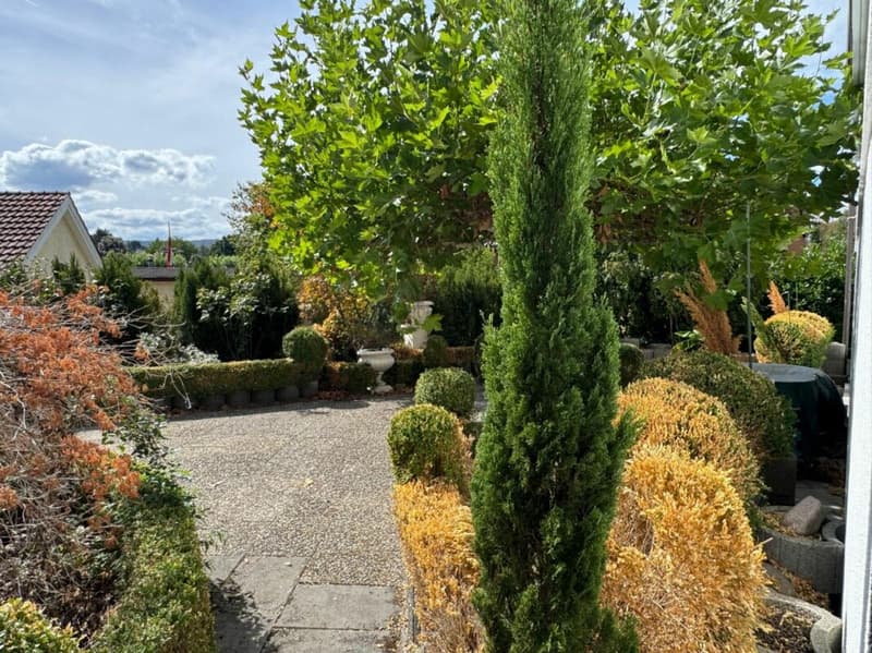 Aussergewöhnliches Wohnen mit Loft - Industrial Charme und eigenem Garten (3)