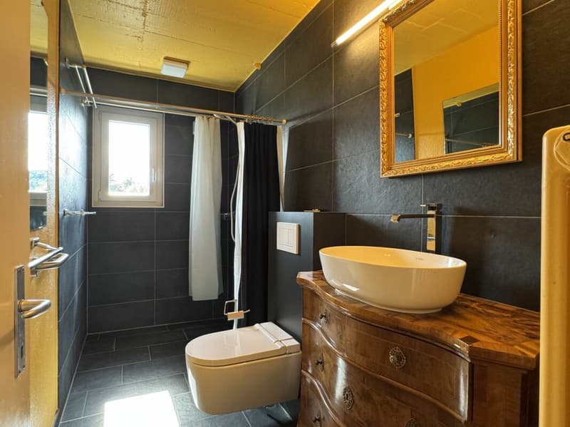 Aussergewöhnliches Wohnen mit Loft - Industrial Charme und eigenem Garten (16)