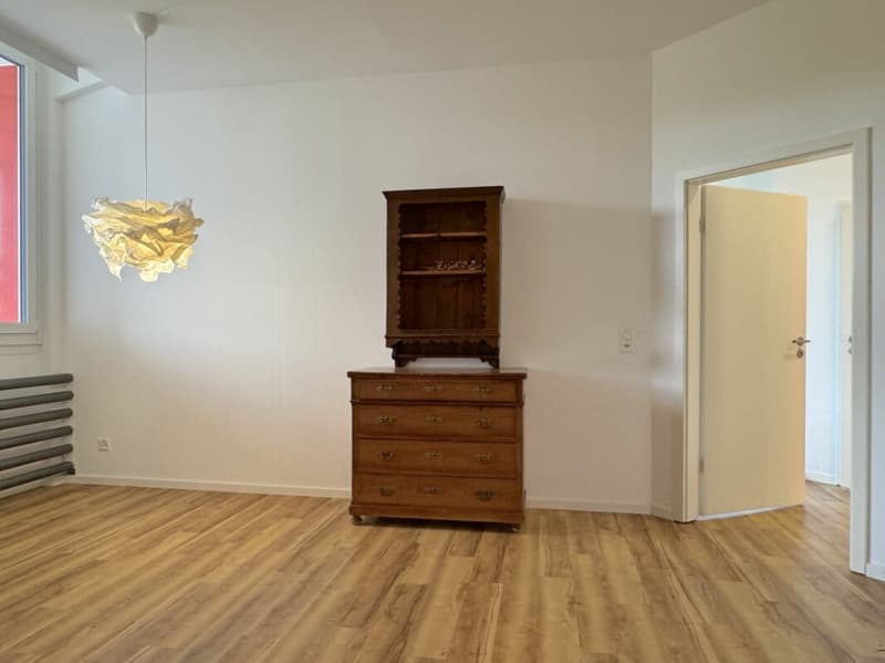 Aussergewöhnliches Wohnen mit Loft - Industrial Charme und eigenem Garten (13)