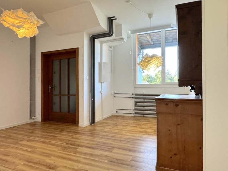 Aussergewöhnliches Wohnen mit Loft - Industrial Charme und eigenem Garten (14)