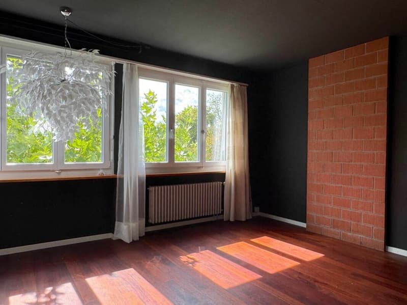 Aussergewöhnliches Wohnen mit Loft - Industrial Charme und eigenem Garten (15)