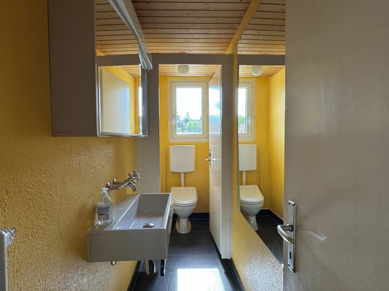 Aussergewöhnliches Wohnen mit Loft - Industrial Charme und eigenem Garten (17)