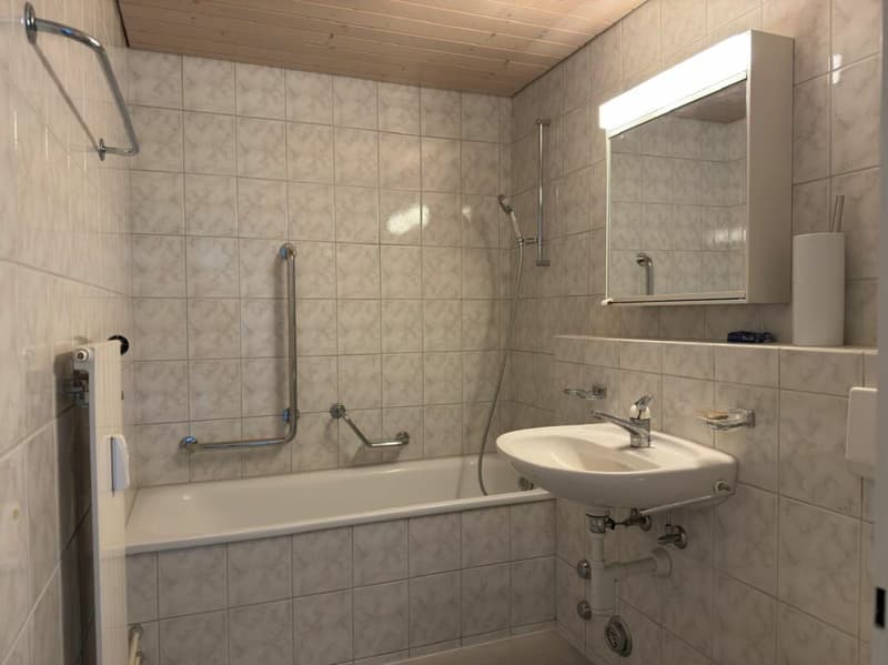 Charmante 3.5 Zi Wohnung (4)