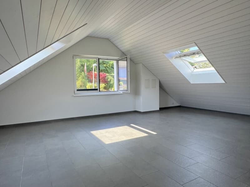 Charmante und komfortable Maisonette-Dachwohnung mit fantastischer Weitsicht (16)