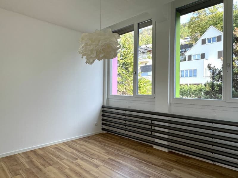 Aussergewöhnliches Wohnen mit Loft - Industrial Charme und eigenem Garten (7)