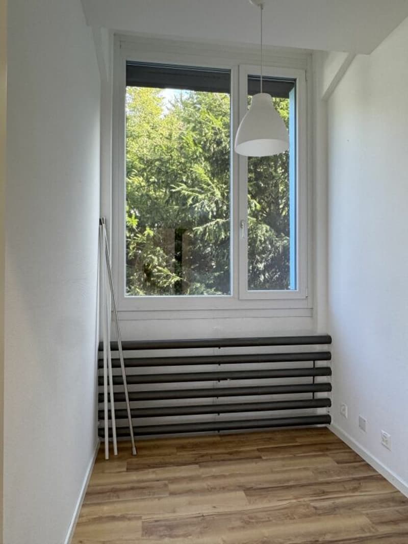 Aussergewöhnliches Wohnen mit Loft - Industrial Charme und eigenem Garten (16)