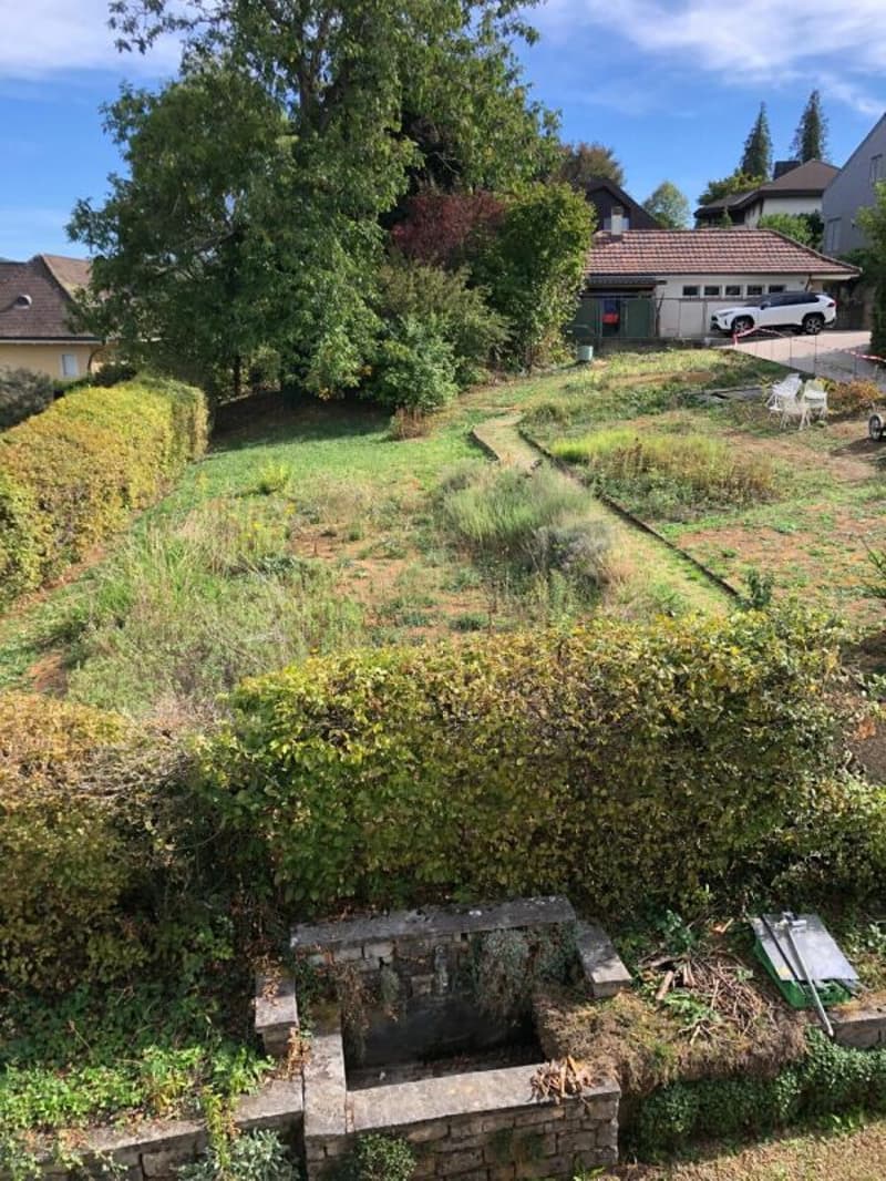 Bauland und Wohnhaus - Grundstück mit doppeltem Potenzial (5)