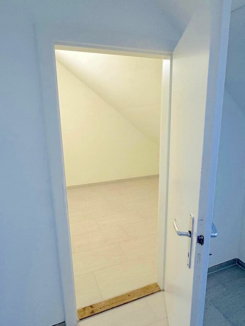 Helle und gemütliche 3.5 Zi-Wohnung (8)