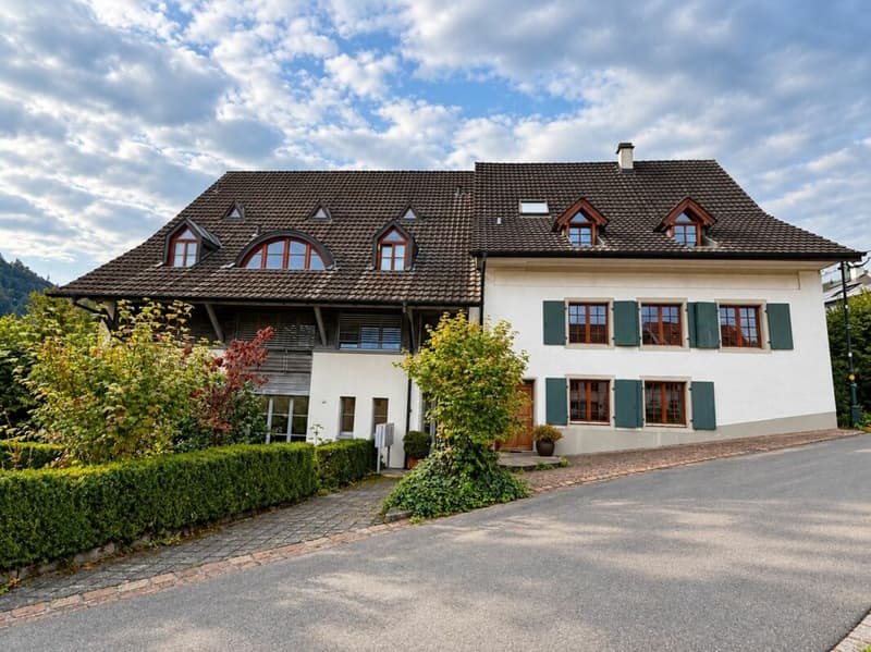Grosszügige Wohnung mit gedecktem Balkon und Cheminée (1)