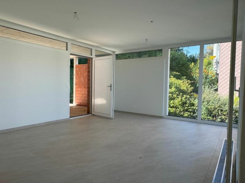 Sonnig, ruhig und mit grossem gedeckten Sitzplatz und Gartenanteil (7)